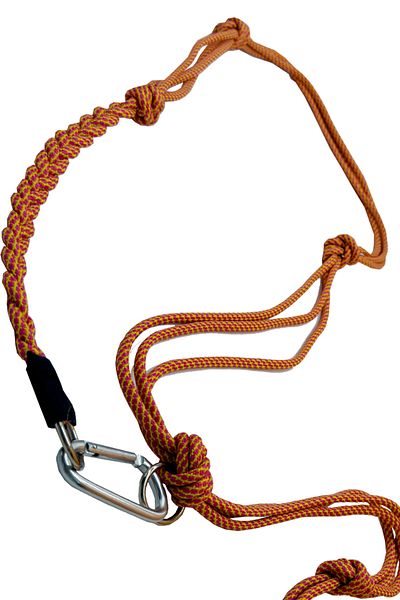 PETSWUU Two Color Design Dog Hands Free Running and Walking Leash