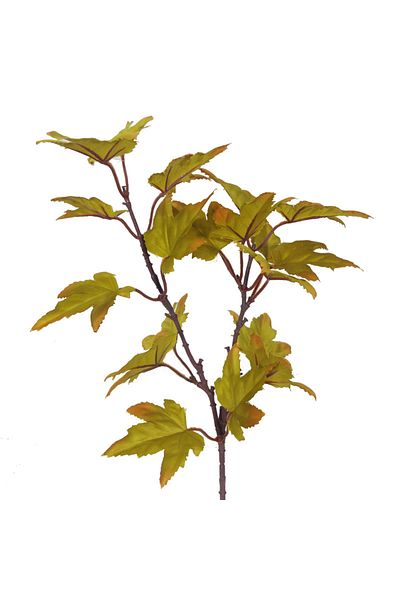 Choice green Artificial Canadian Maple Leaf Branch Autumn Rustic Wedding Decoration Accessories Fake Flower