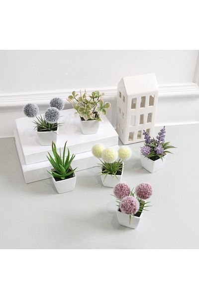 Choice Xs Colour Mixture 1set Of Home Decoration, Mini Evergreen Artificial Plant Small Potted Plants