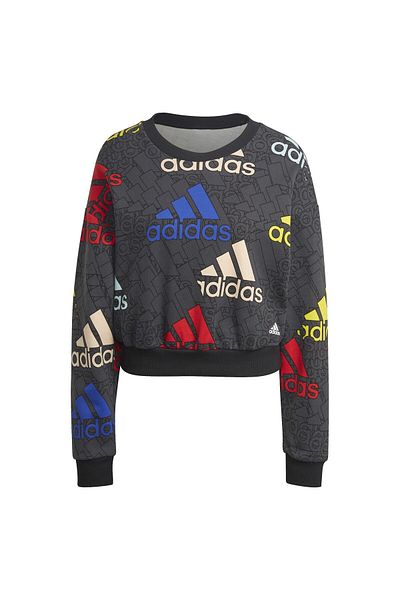 adidas ADIDAS women's sweatshirt W BLUV Q3 SWT G - HL4412