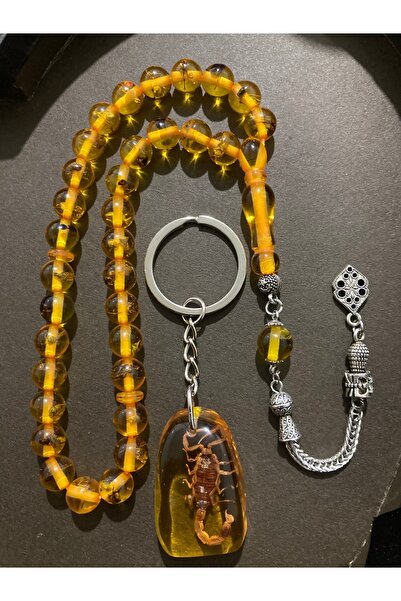 Rana Gümüş Karınca ve Akrep Fosilli set