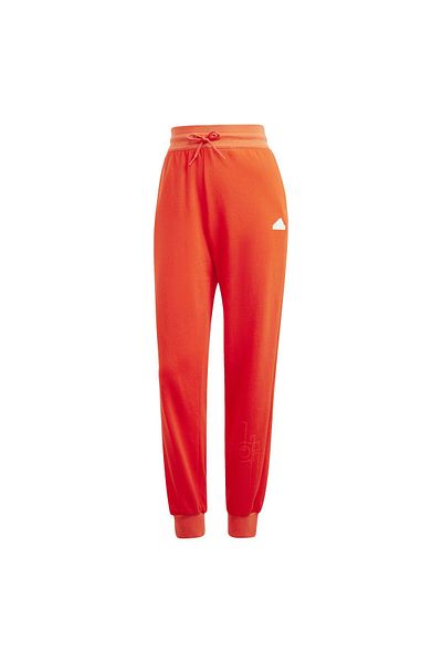 adidas Pantaloni trening ADIDAS pentru femei W BLUV PT - IS4285