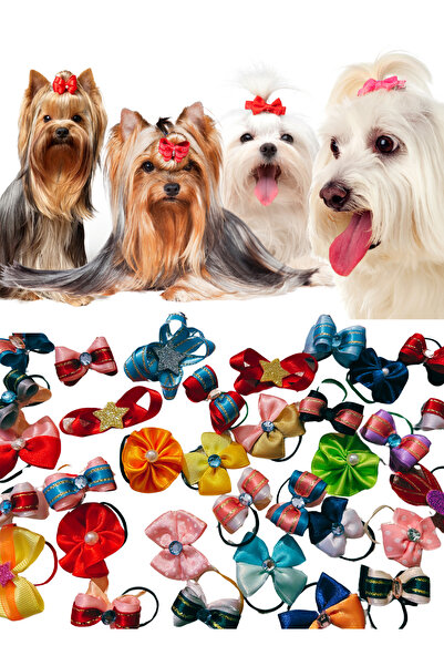 Hubjua Cat Dog Buckle 10Pcs Mixed Pet Accessory