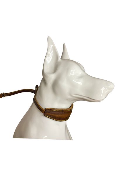 Rebel Dog Premium Genuine Leather Adjustable All-Breed Competition and Casual Collar
