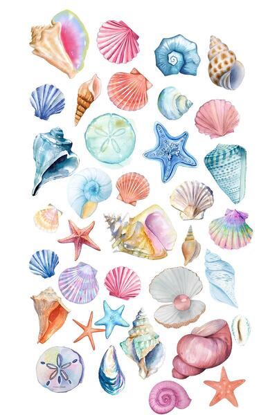 Rana İkra Art Deniz Kabuğu Temalı Sticker Seti (5 Sayfa 160 Adet)