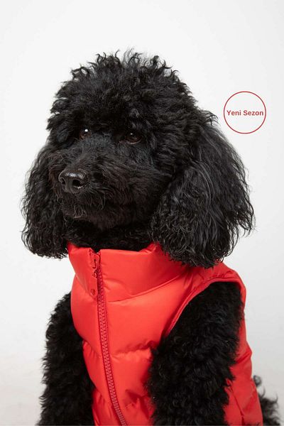 salya store Dog Clothing, Puffer Waterproof Dog Coat, Small and Medium Breed Dog Suit