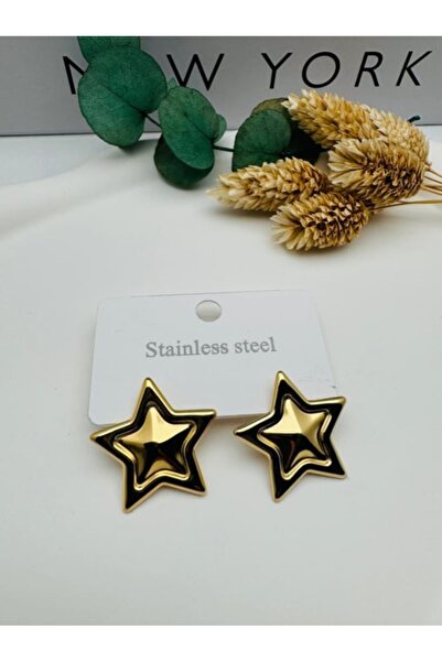 çelik takı أقراط نجمة من الفولاذ