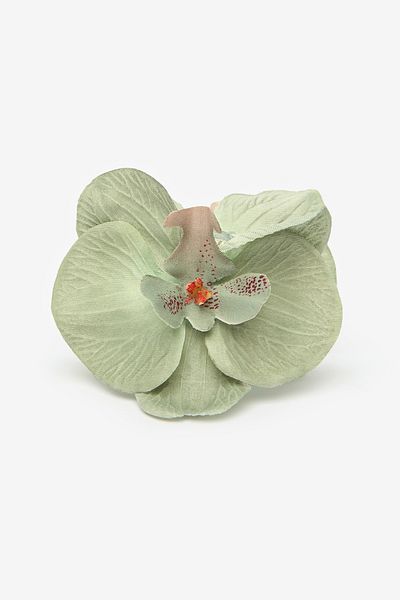 Penti Orchidfarbene Schnalle