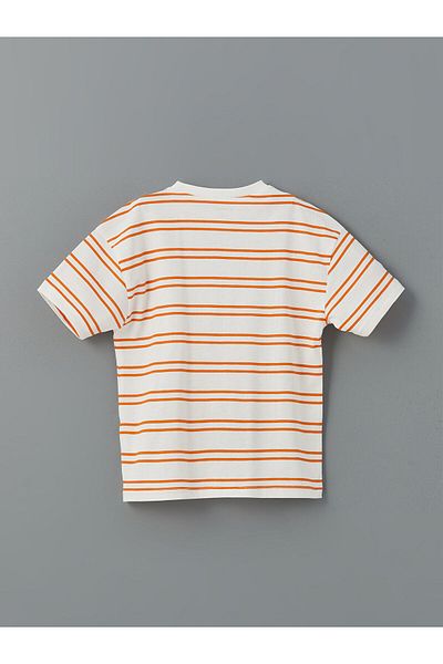 LC Waikiki Crew Neck Striped Baby Boy T-Shirt