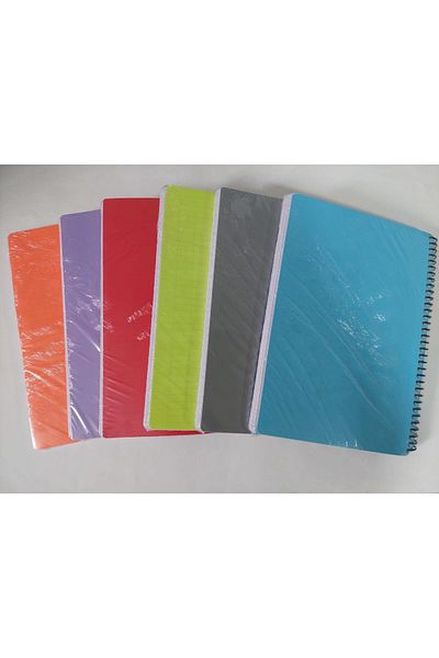 Defne A4 Size 175 Sheets 4 Sections Plastic Cover Notebook