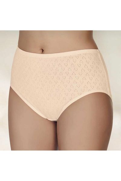 Belinay Women's Ten Colors 3 Pack 100% Cotton Heart Patterned High Waist Cotton Comfortable Fit Bato Panties