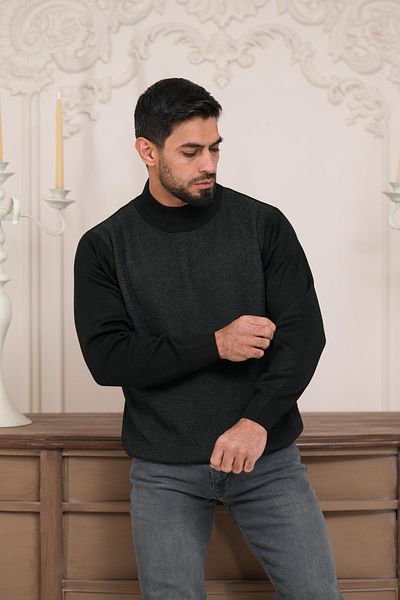 Woolen World Ανδρικό πλεκτό πουλόβερ με μοτίβο μαλλί