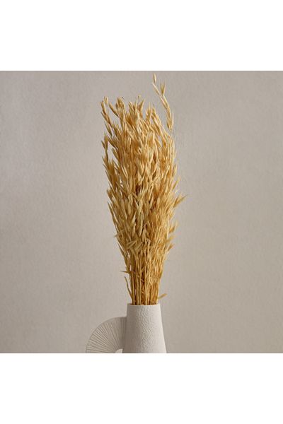Home Box Seyna Misc Stock Hawana Grass
