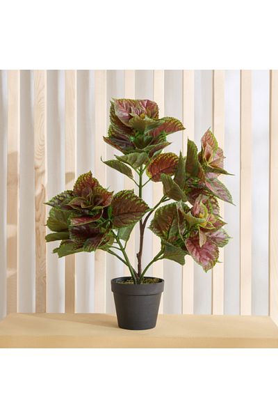 Home Box Triton Artificial Purple Perilla with Pot 45x40x60 cm