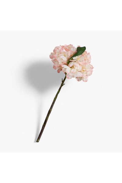 Home Box Liara Dried Hydrangea Flower Stem 35 cm