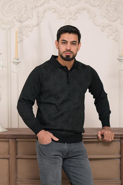 Woolen World Мъжки вълнен плетен пуловер с поло яка и шарки