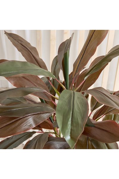 Home Box Triton Realtouch Cordyline Fruticosa Tree 50x45x110 cm