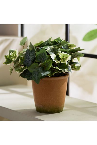 Home Box Liara Ivy Leaves Potted Plant in Pot 28 cm