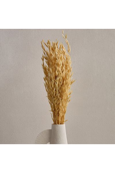Home Box Seyna Misc Stock Hawana Grass