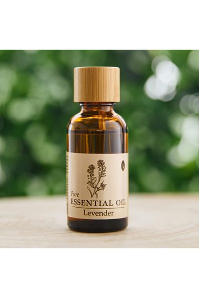 Home Box Seyna Lavender Aroma Oil 30 ml