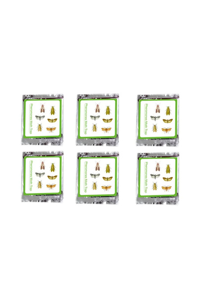 Choice 6 قطع 6/12/50 قطعة من معجون قتل الفيرمونات للملابس والطعام ومصيدة الغراء اللاصق لطرد الآفات والذباب والعثة