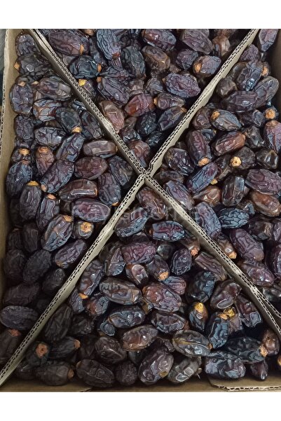 KAYISICENTER Toptan Kudüs Medjoul Small Hurma