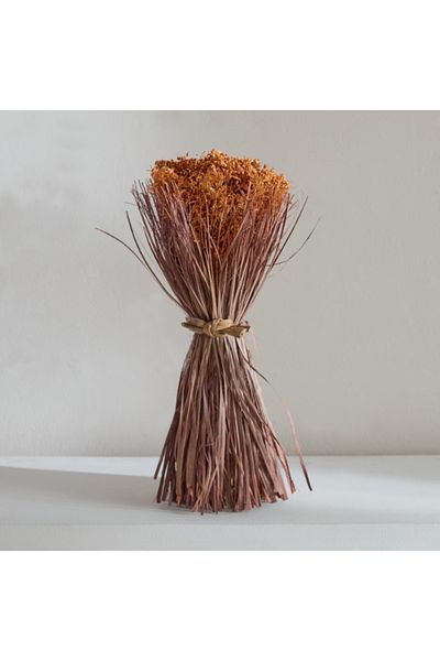 Home Box Caven Mixed Grass Bundle 17x17x35 cm