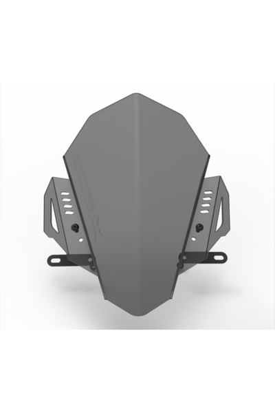 Genel Markalar RAIDER 125 SPOR ÖN CAM