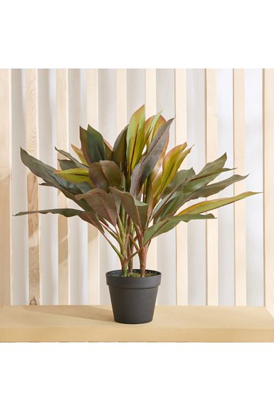 Home Box Triton Realtouch Artificial Cordyline Fruticosa Plant with Pot 45x45x58 cm