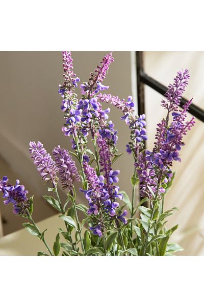 Home Box Liara Lavender Potted Plant 50 cm