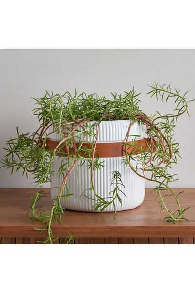 Home Box Tilden Ribbed Ceramic Planter with PU Band 20x20x18.3 cm