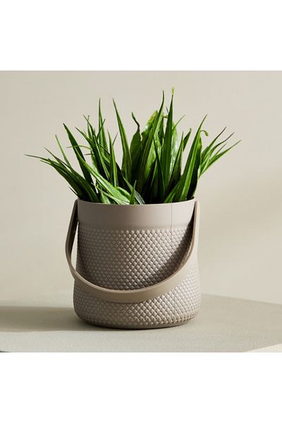 Home Box Taria Potted Plant with Handle 11x11x18 cm