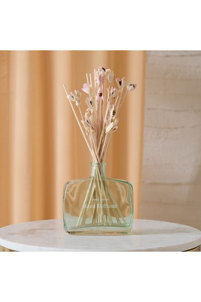 Home Box Seyna Sola Flower Reed Diffuser Bottle without Fragrance Solution 16x5x38 cm