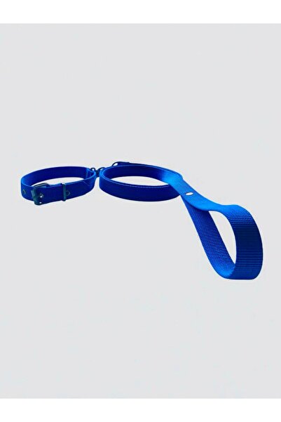 shop طوق كلب متوسط ​​الحجم