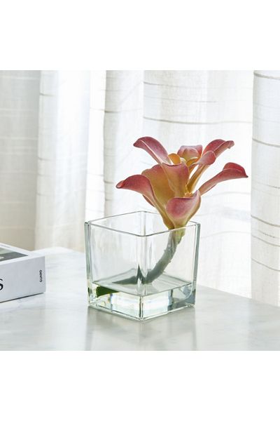 Home Box Liara Succulent Pick in Glass 15x15x18 cm