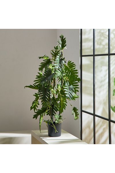 Home Box Liara Tropical Leaves Potted Plant in a Pot 80 cm