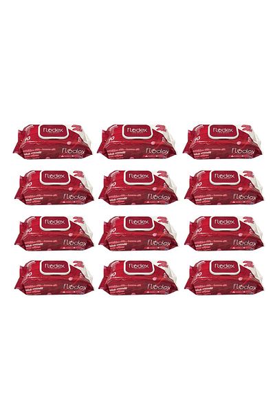 FLODEX Wet Wipes Dream Garden 90 X 12 Pieces