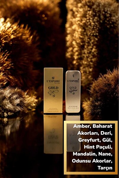 L'espoire Gold Erkek Parfüm 100 ml