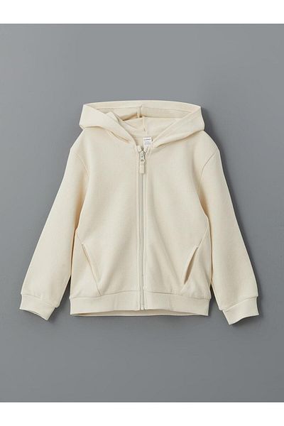 LC Waikiki Hooded Boy's Zippered Sweatshirt