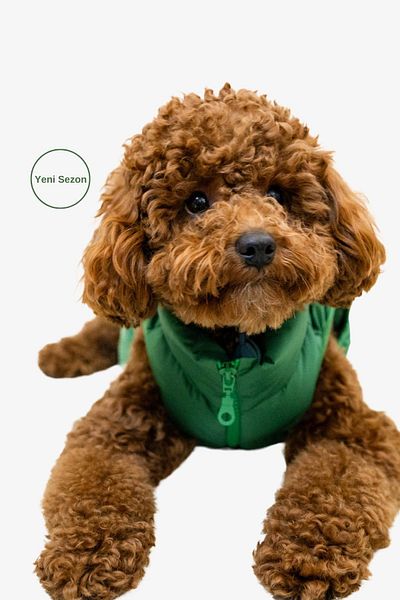 salya store Dog Clothing, Puffer Waterproof Dog Coat, Small and Medium Breed Dog Suit