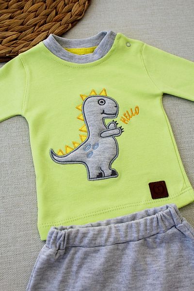 Ecenaz 3-6 6-9 9-12 Months Little Dino Embroidered Hat Long Sleeve Sweat 3 Piece Baby Girl-Boy Set Green