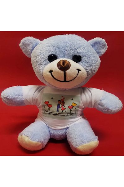 Esin life T Shirt Blue Bear (with Special Protection Bag)