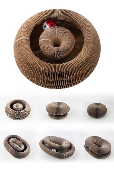 GOBYPET Magic Cat Toy - Scratching and Rattle Board