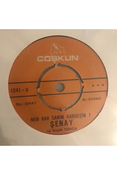 mazi plak Şenay - Hayat Bayram Olsa - Orijinal Dönem Baskı 45'lik Plak