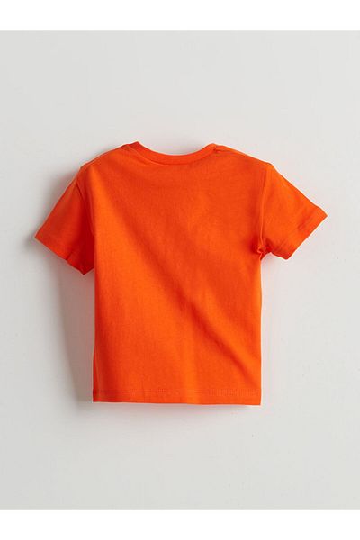 LC Waikiki Lcw Eco Crew Neck Printed Boys T-Shirt
