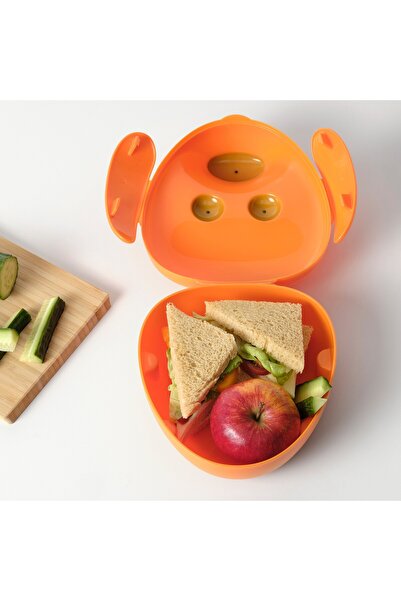 erorex صندوق الغداء