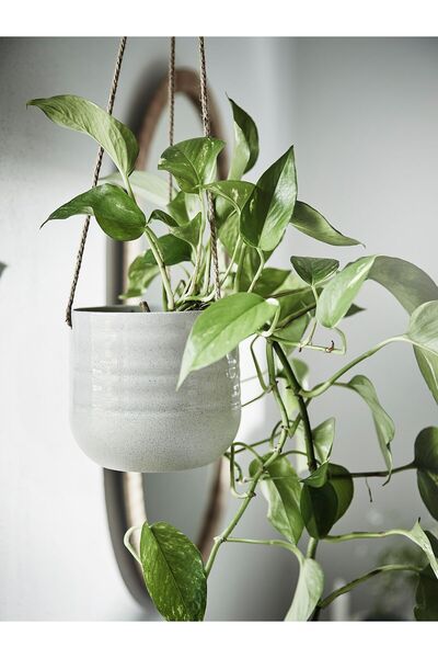 erorex Hanging planter, light grey, 12 cm