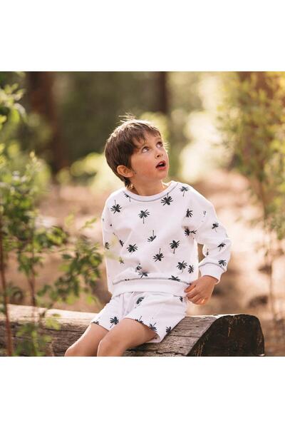 Antebies Palm Sweatshirt Shorts Set
