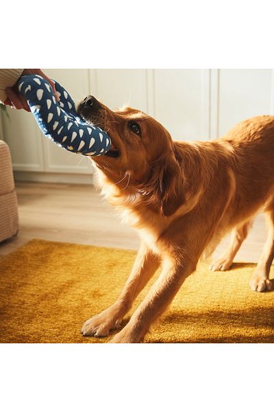 erorex Soft toy for dog, blue