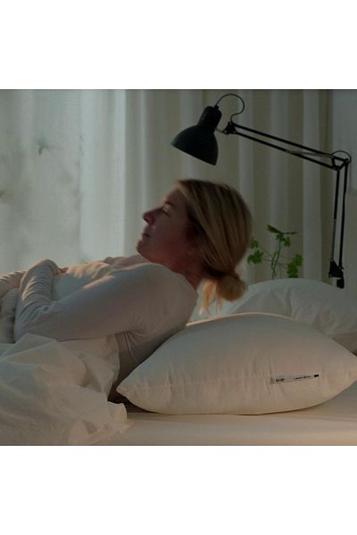 erorex Pillow, high, 50x80 cm